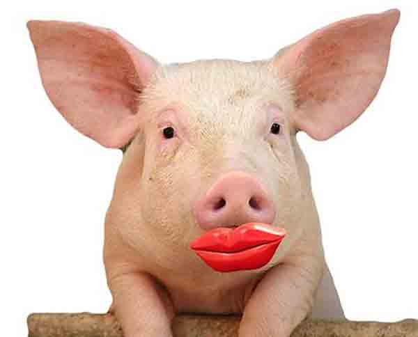 Kamala’s $1.7T Economic Plan to Build Nothing Back Better