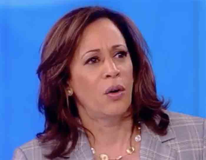 New, Very Serious Allegations of Plagiarism Against Harris