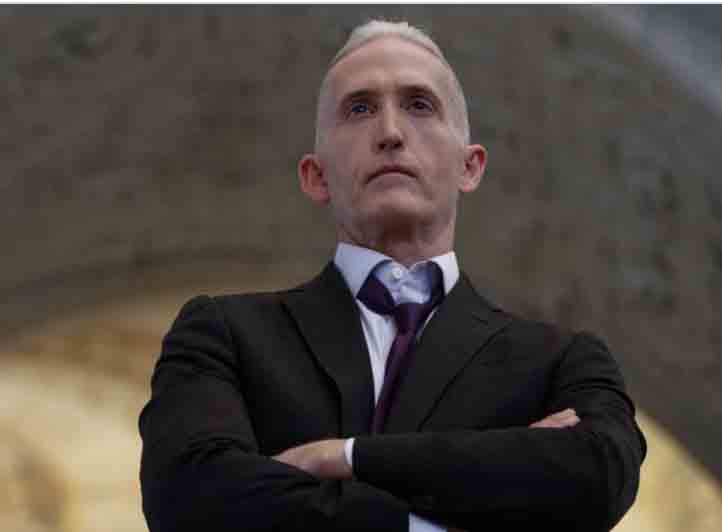 Mollie Hemingway Nukes Comments by Do-Nothing Trey Gowdy