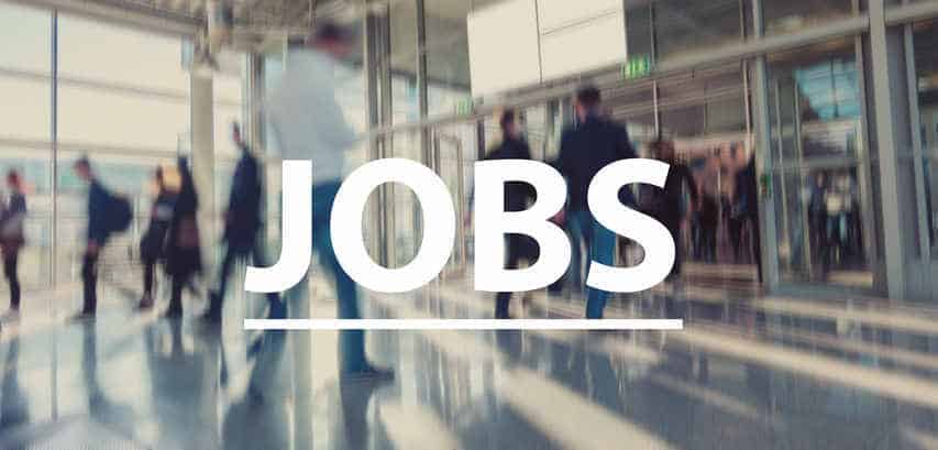 Biden-Harris Economy: Downward Revision Up to 1 Million Jobs