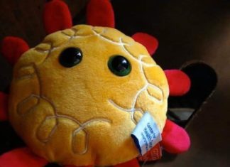 Did Bill Gates Predict Coronavirus Two Months Before It Happened?