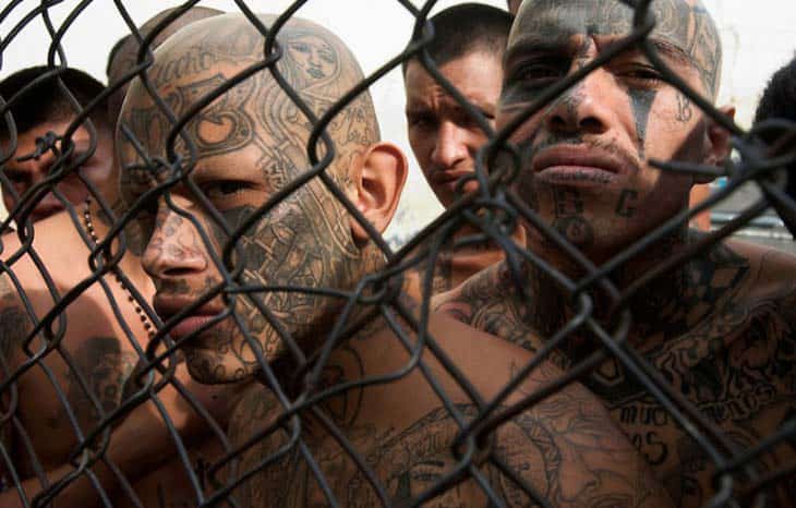 Illegal Immigrants Commit More Crimes Than the General Population
