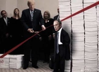 “Mini Mike” Bloomberg Says He’s As Tall As His Head