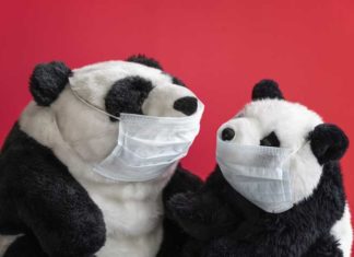 A measured response to Coronavirus