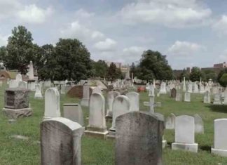 Please watch and retweet! We must investigate the voter rolls