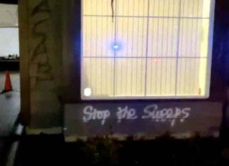 “Portland is a s-hole!” Antifa smash up business for cleaning encampments