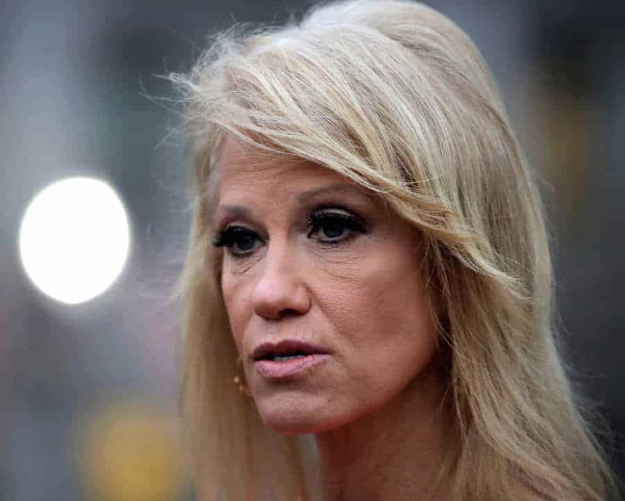 Kellyanne vows to work with "future administrations," wants a job with Joe