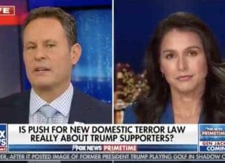 Schiff & Brennan call Magas ‘domestic terrorists,’ only 1 Dem stands up for Magas