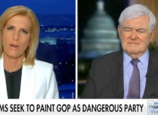 Newt goes Full Metal Jacket on CIA officer who wants to treat Americans like ISIS