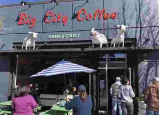 Small far-left group bullies pro-police coffee shop off BSU campus