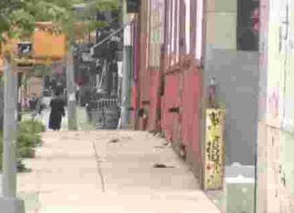 26 people shot in communist Mayor de Blasio’s New York City in 48 hours