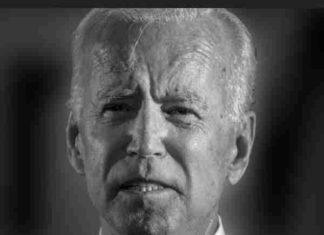 New emails show Biden team tried to silence Donald Trump in 2020