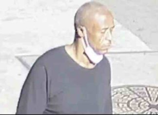 Non-white supremacist brutally stabbed 2 elderly Asian women (video)