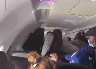 Idiots on a plane! Watch the brawling 30,000 feet in the air