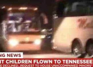 Admin flying illegal alien minors into Tennessee in the middle of night