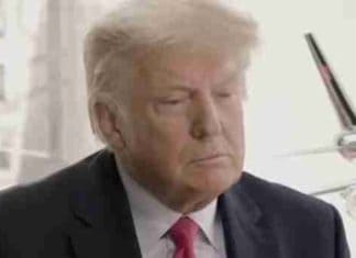 Trump statement on susceptibility to a terror attack
