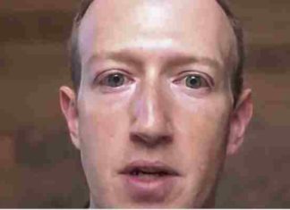 Tech Oligarchs Conspired to Take Out Trump