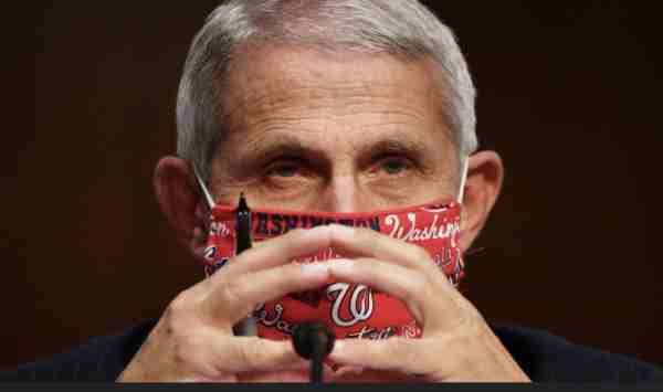 Despot Fauci's Back - Talking About Lockdowns and Airline Masks