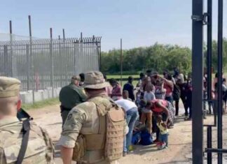 Americans, watch your replacements from 160 countries walk in