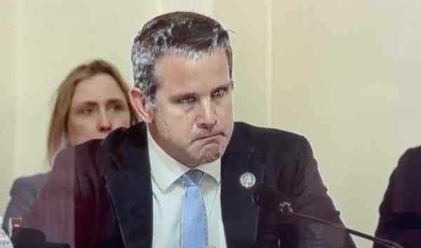 Rep. Kinzinger Calls for NATO to Commit an Act of War - Vimarsana News