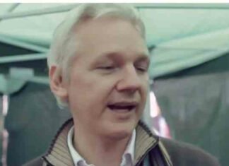 Was Julian Assange correct about Afghanistan in 2011?