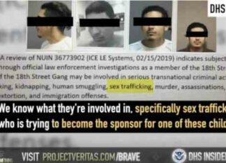 DHS insider: Cartels freely enter the US to sex traffic and commit other crimes