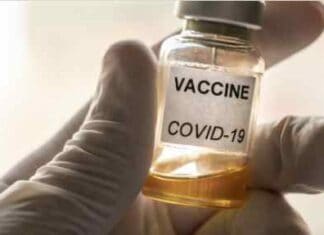 Harvard Study: NO Relationship Between Fully Vaxxed and New COV Cases
