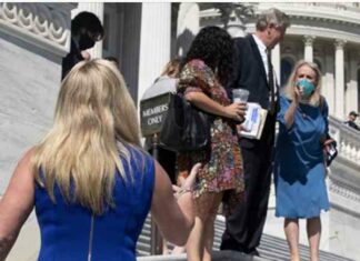 Rep Taylor Greene was in a shouting match with abortion-extremist Debbie Dingell