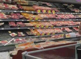 Wholesale prices soar 8.3% in August, small businesses worry, beef up 59.2% this year