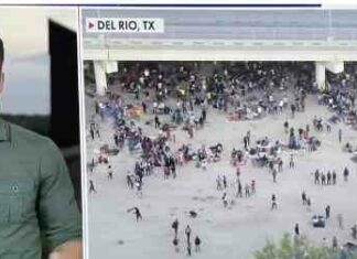 Population the size of Birmingham came in illegally in August – 208K