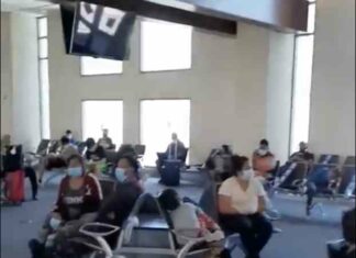 Planeloads of Illegals Come in the Dead of Night