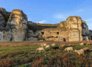 A Return to a More Primitive State of Existence & the Police State