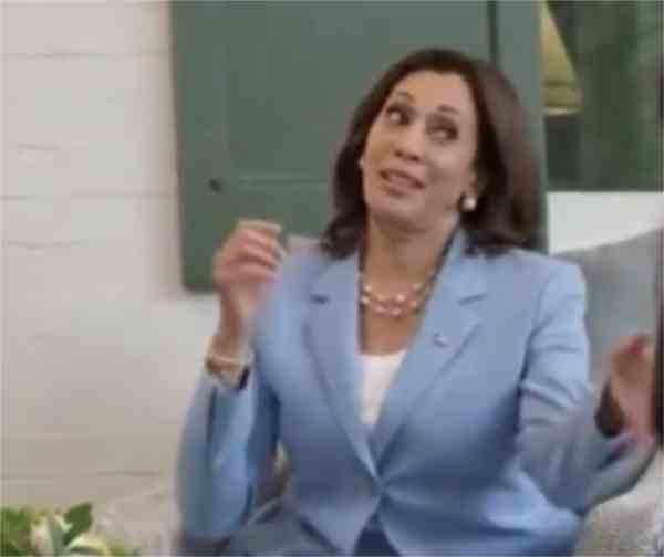 Kamala’s Terrible, Horrible, Awful Policies for the USA