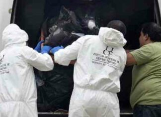 Avocado Farmers Slaughtered in Mexico & Why You Should Care