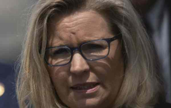 Liz Cheney Attacks Newt for "Unraveling the Rule of Law" - Vimarsana News