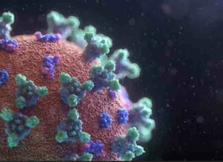 Pandemic of the Vaxxed: Idiot’s Guide to Developing a Supervirus?