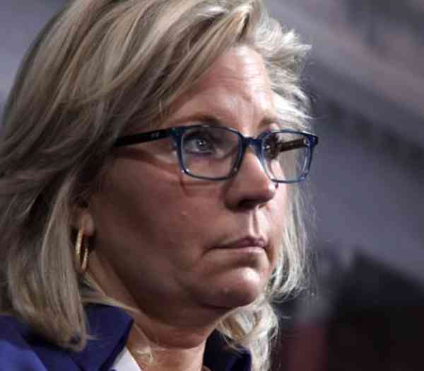 The Madness of the Lady of the Swamp‚ Liz Cheney‚ Voting for Joe