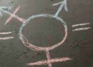 Kindergarteners in One School to Be Indoctrinated in BLM Principles