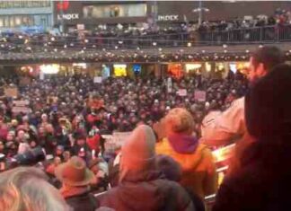 Huge Protest in Sweden Where Few COV Mandates Are in Place