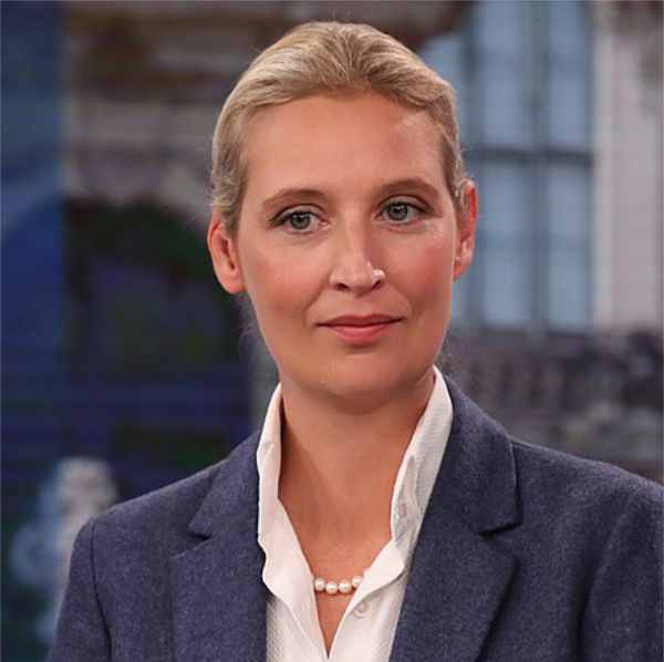 150 EU Authoritarians Will Watch Musk-Weidel Livestream for Lawbreaking