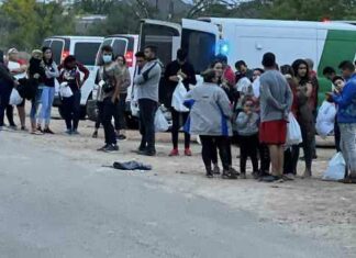 Biden’s Cartels Own the Border- Rep Says “Time to Send the Military”