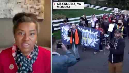 We're a "Land of Laws or a Woke Mob-Ruling Country" - Winsome Sears