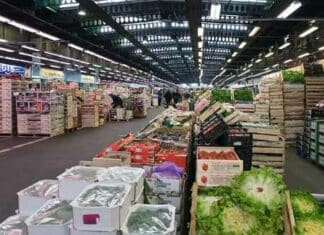 Fire in the World’s Largest Wholesale Produce Market in Paris