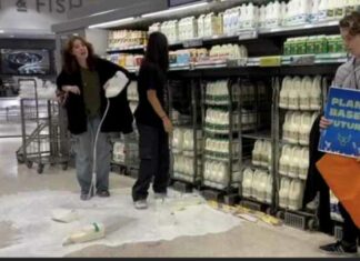 Animal “Nutjobs” Protest with Milk Pours