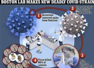 BU Was Never Authorized to Manufacture Omicron Strain with an 80% Kill Rate