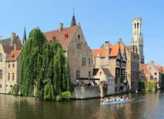 Flemish Region Wants Out of the WOKE WEF