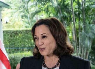 Kamala Harris “Signifies the Significance” of Allies and “Significance” of Climate