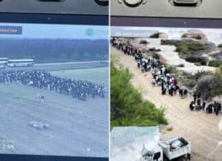 Caravans Every Day – Explosive Numbers as Congress Plans Amnesty