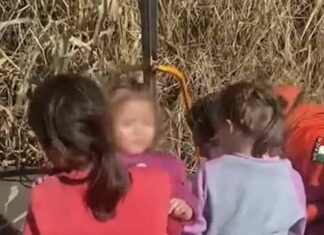 Three Children Ages 1, 6, and 9 — Rescued Near the Border