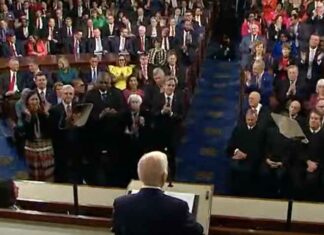 Some Democrats Wore Black 1870 Pins to the SOTU